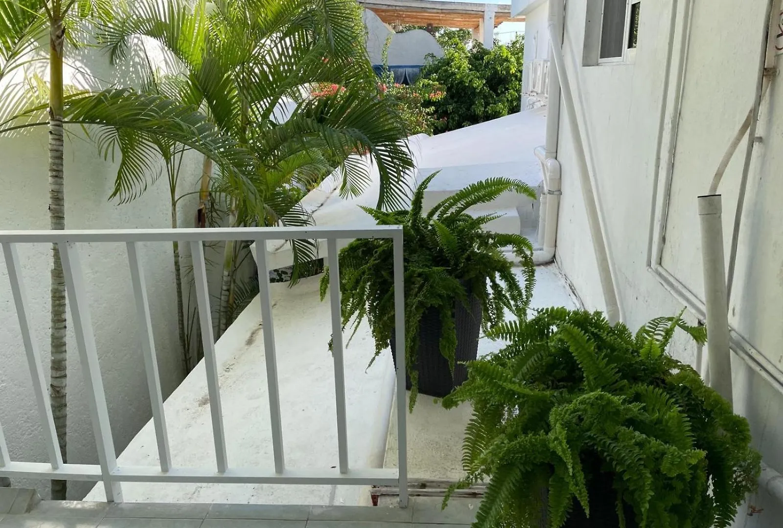 Caribo Cozumel Hotel Mexico