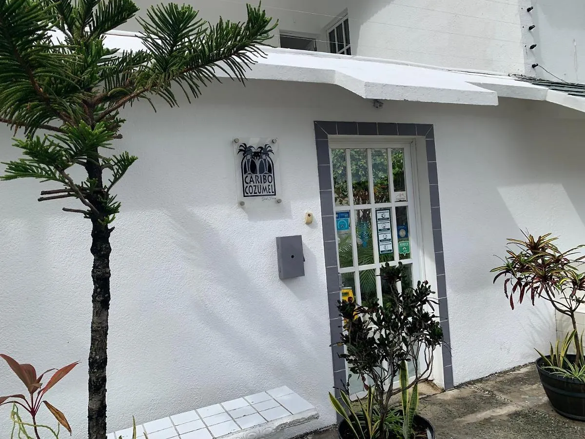 Guest house Caribo Cozumel Hotel