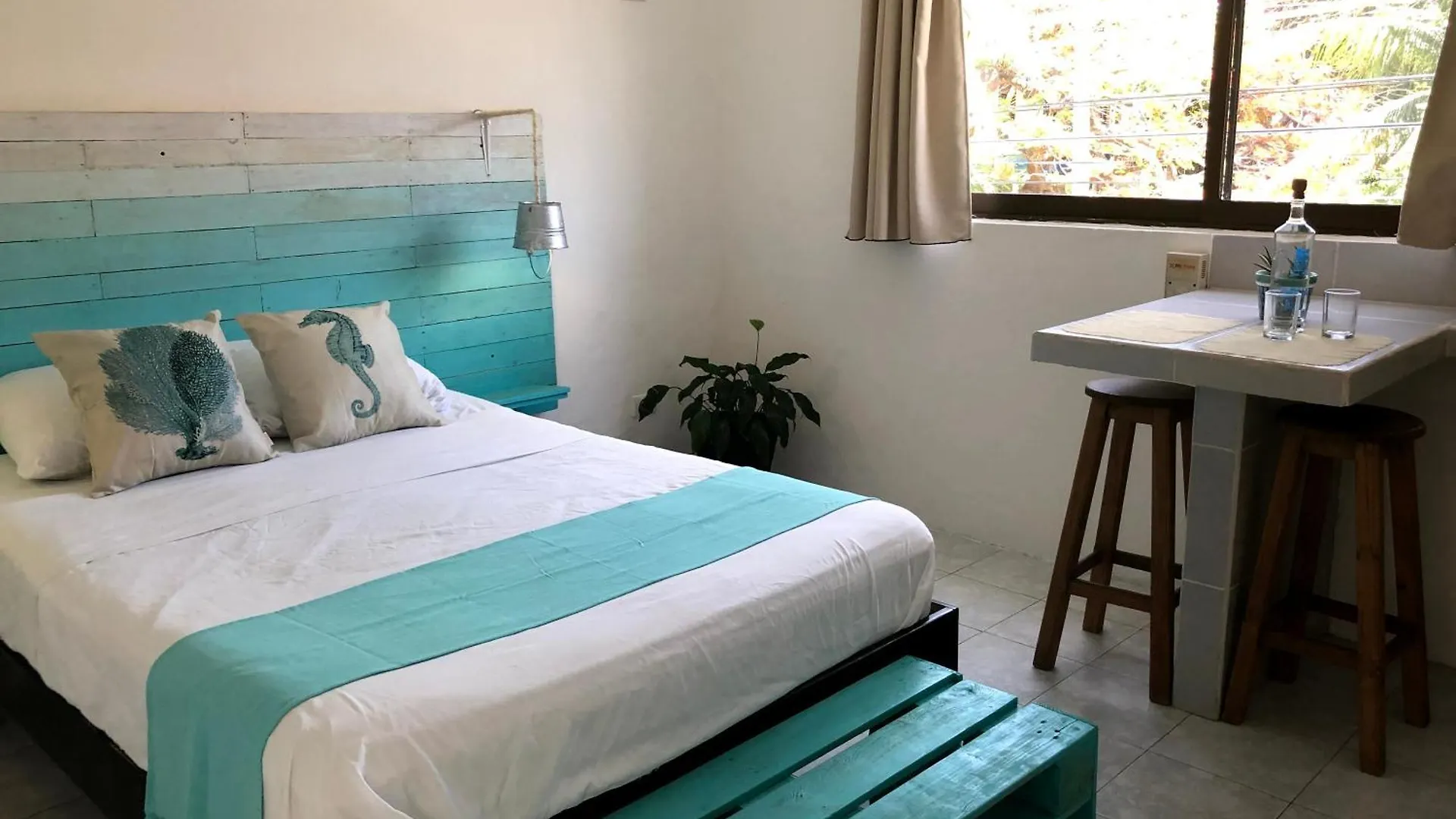 ** Guest house Caribo Cozumel Hotel Mexico