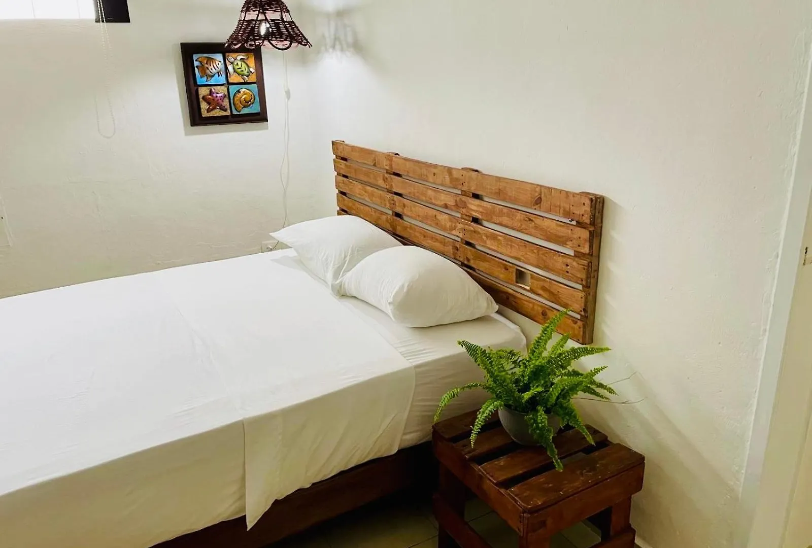 Guest house Caribo Cozumel Hotel