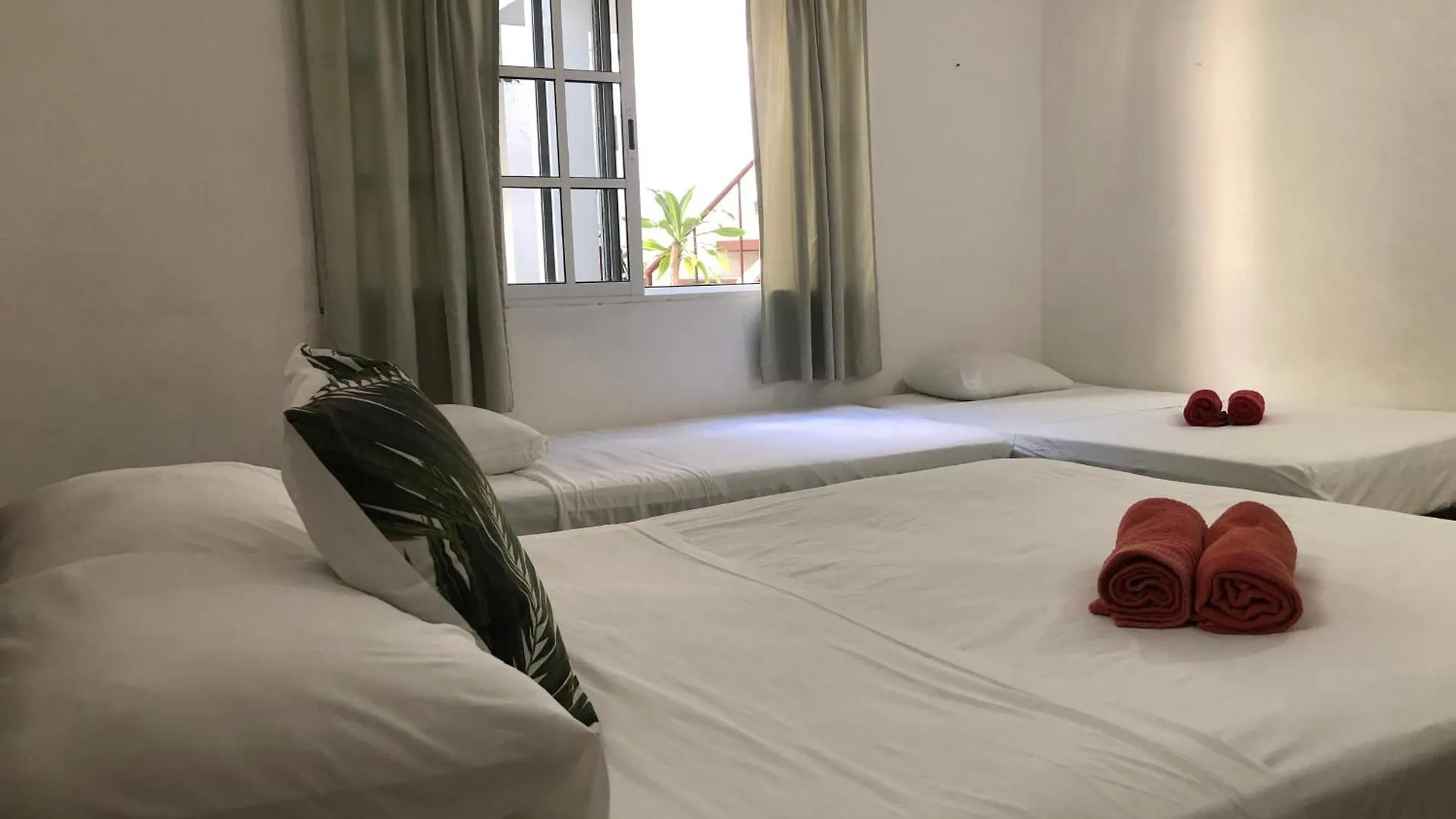 게스트하우스 Caribo Cozumel 호텔