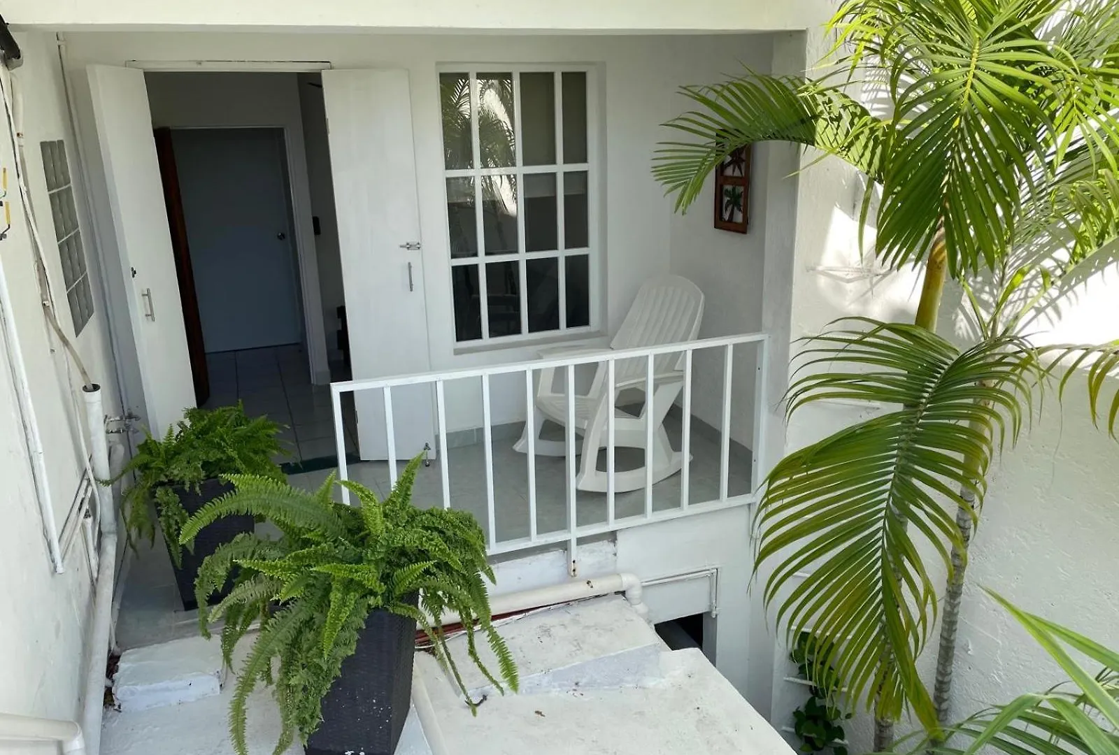 Caribo Cozumel 호텔 게스트하우스